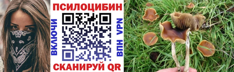 где купить наркоту  Серпухов  Псилоцибиновые грибы Magic Shrooms 