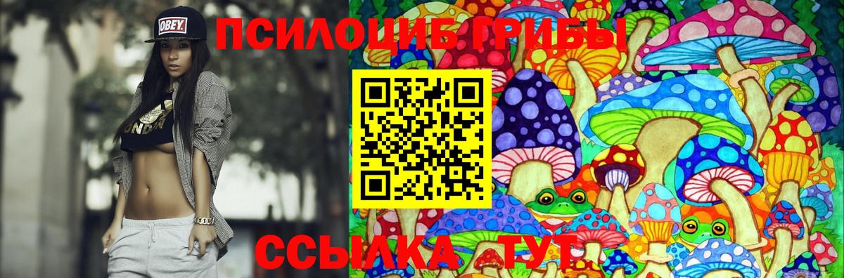 Серпухов  Псилоцибиновые грибы GOLDEN TEACHER  Вход с VPN 